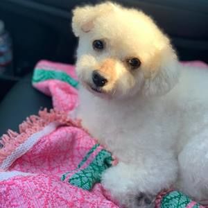 Meet your Posher, Thet